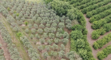 Adana'da rekor uyuşturucu ele geçirildi