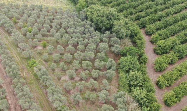 Adana'da rekor uyuşturucu ele geçirildi