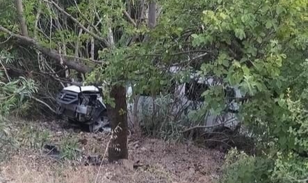 Adana’da trafik kazası: 1 ölü