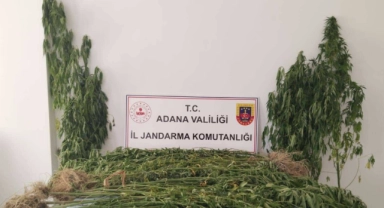 Adana’da uyuşturucu ile mücadele devam ediyor