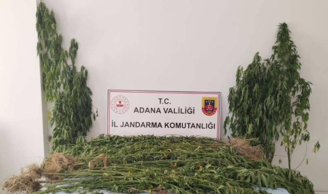 Adana’da uyuşturucu ile mücadele devam ediyor