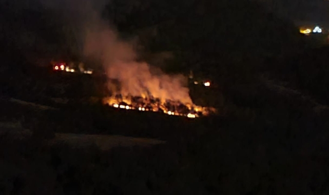 Adana'daki orman yangını kontrol altına alındı