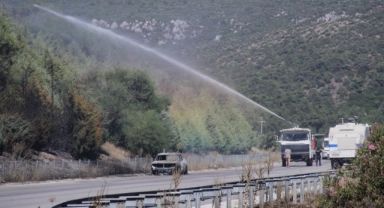 Alevler ormana sıçradı, müdahale sürüyor!