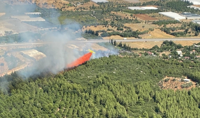 Antalya'da orman yangını