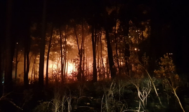 Antalya'da orman yangını