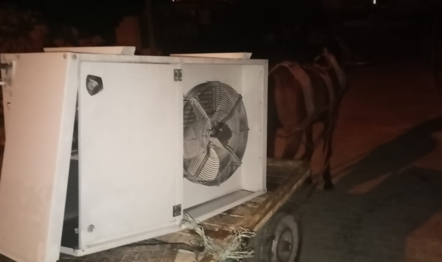 At arabasıyla hırsızlık yapan 2 şüpheli yakalandı