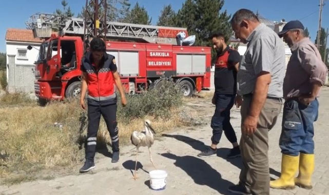 Ayağına ip dolanan leylek kurtarıldı