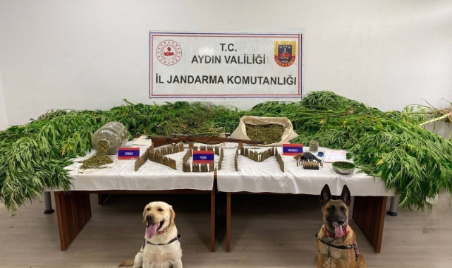 Aydın'da 6 ayda 50 ton uyuşturucu madde ele geçirildi