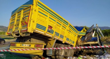 Aydın'da feci trafik kazası!