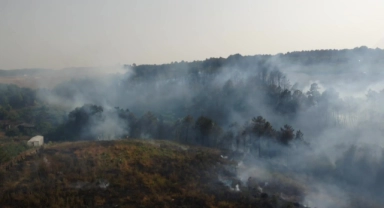 Beykoz'daki yangına müdahale devam ediyor