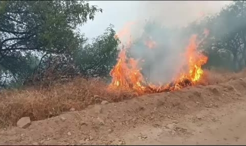 Bir ilde daha orman yangını başladı