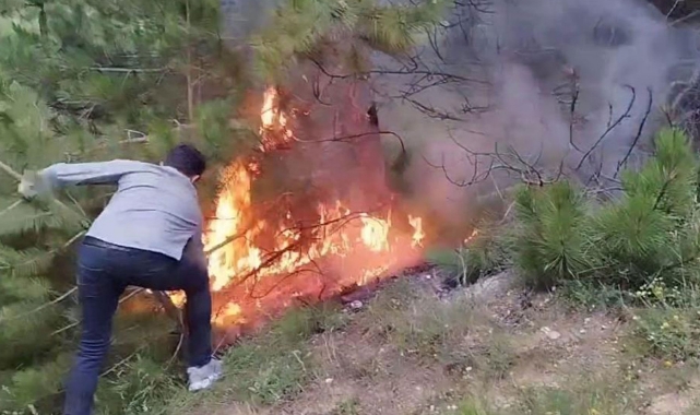 Bir ilde daha ormanlara giriş yasaklandı