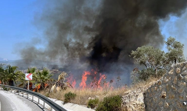 Bodrum Havalimanı kavşağında yangın paniği