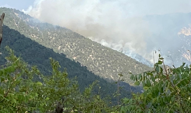Bolu'da yıldırım düşmesi sonucu yangın çıktı