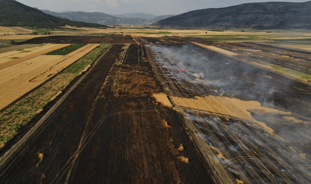 Burdur’da 800 dekar tarım arazisi küle döndü