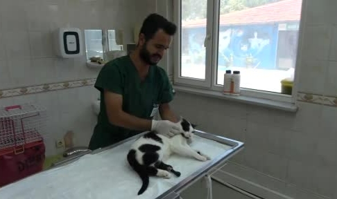 Bursa'da 3D yazıcı ile sokak hayvanlarına umut oluyor