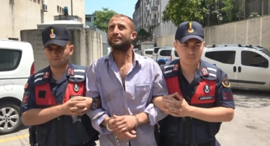 Bursa'da ormanı yakan zanlı tutuklandı