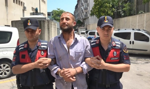 Bursa'da ormanı yakan zanlı tutuklandı