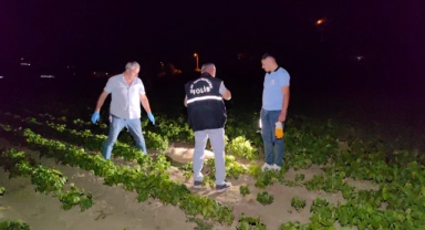 Bursa'da sokak köpeği vahşice öldürüldü!