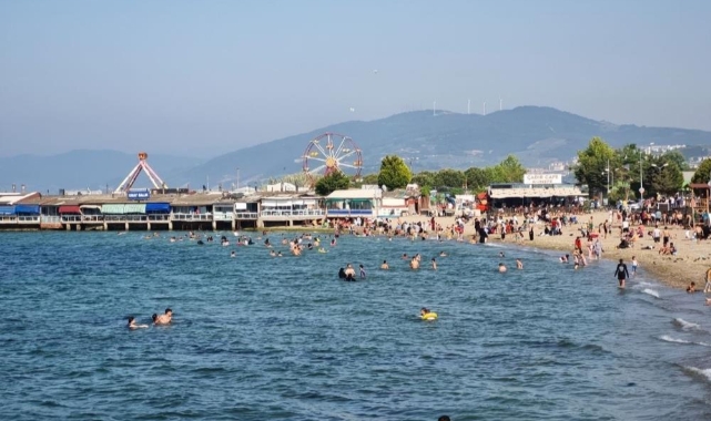 Bursa'daki 24 plajdan 7'sinin kötü kalitede
