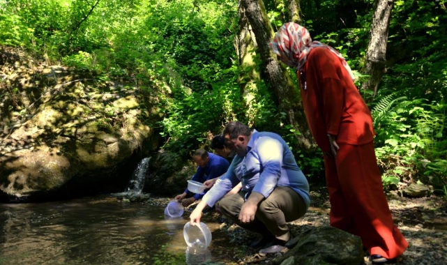 Bursa'nın derelerine doğal alabalık takviyesi
