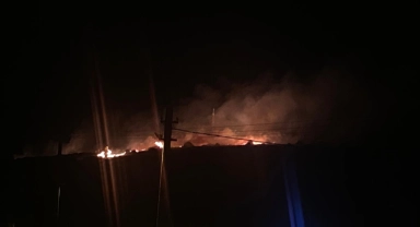 Çeşme'de orman yangını