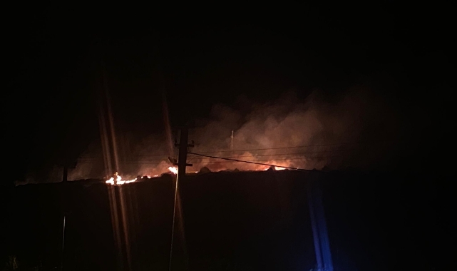 Çeşme'de orman yangını