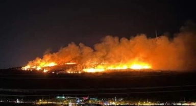 Çeşme'deki yangınla ilgili 1 şüpheli gözaltında