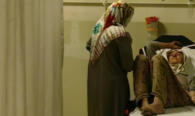 Çilek toplarken yılan ısıran kadın hastaneye kaldırıldı