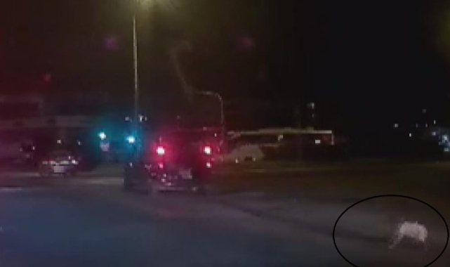 Çocuk aracın bagajından yolun ortasına düştü