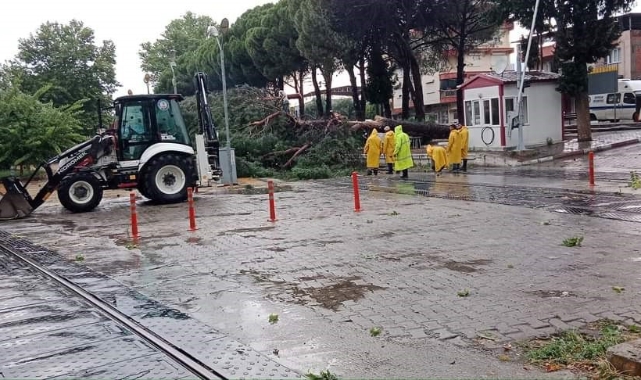 Demiryoluna ağaç devrildi, seferler durdu