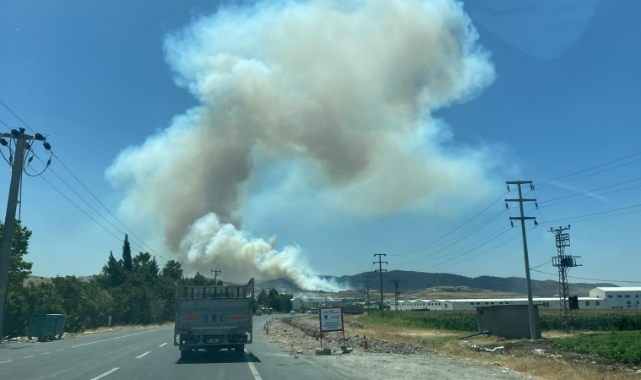 Deprem bölgesinde orman yangını