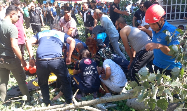 Devrilen ağacın altında kalan 2 kişi yaralandı