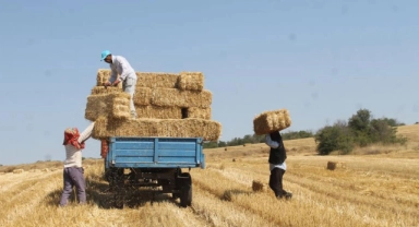 Edirne'de balya işçilerinin günlük yevmiyesi belli oldu