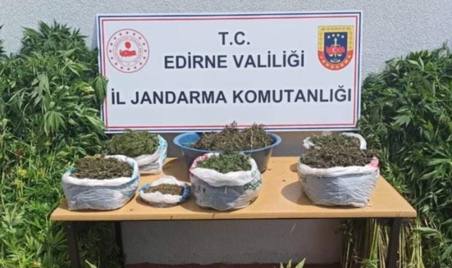 Edirne'de uyuşturucu operasyonu: 2 gözaltı