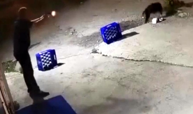 Eğlence merkezi bahçesinde bağlı köpeği 14 kurşunla öldürdü