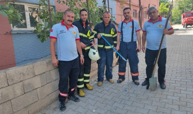 Evde yılan paniği!