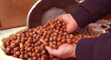 Fındık alım fiyatları değişmedi
