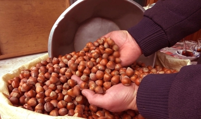 Fındık alım fiyatları değişmedi