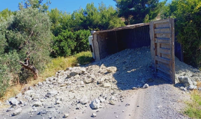 Freni tutmayan kamyon devrildi: 1 yaralı