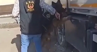 Gaziantep'te kaçakçılığa ağır darbe