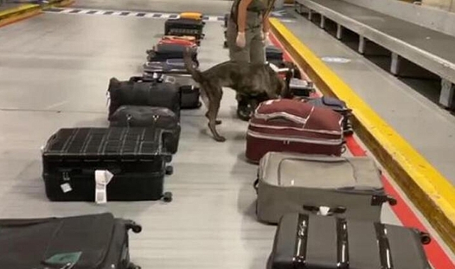 Gümrük Muhafaza ekipleri 8 milyar liralık kaçak eşya ele geçirdi