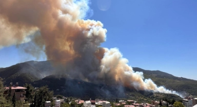 Hatay'da orman yangını