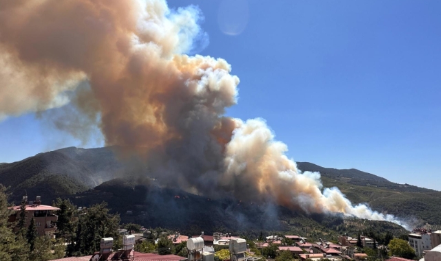 Hatay'da orman yangını