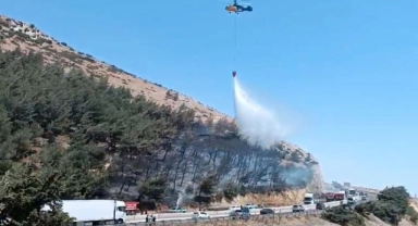 Hatay'da orman yangını kontrol altında