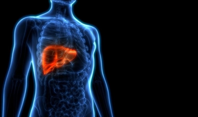 Hepatite karşı “Bilgilenin, aşılanın, korunun!”