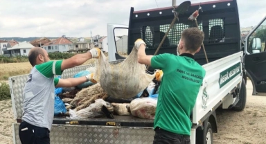 İnegöl Belediyesi 430 ton atık topladı