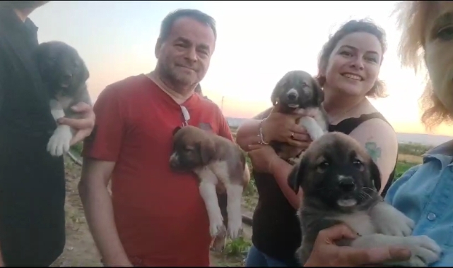 İnegöl'de sokak köpeğinin 4 yavrusu sahiplendirilecek