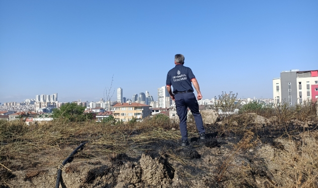 İstanbul'da ot yangını: Dumanlar E-5 Karayolu'nu kapladı