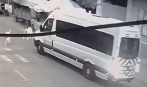 İstanbul'da servis şoförü köpeğe çapıp kaçtı